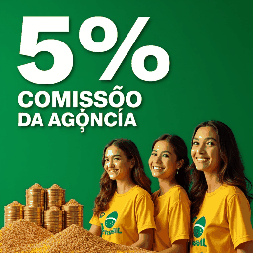 433bet